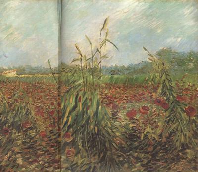 Vincent Van Gogh Green Ears of Wheat (nn04) France oil painting art